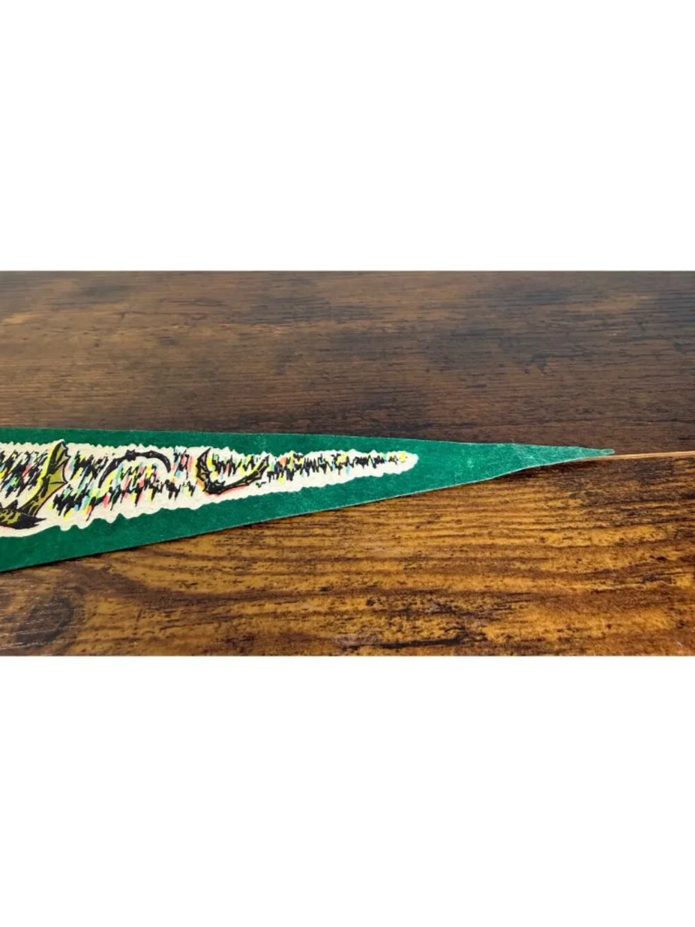 Vintage Carlsbad Caverns Felt Pennant Whites City New Mexico Souvenir 27 “